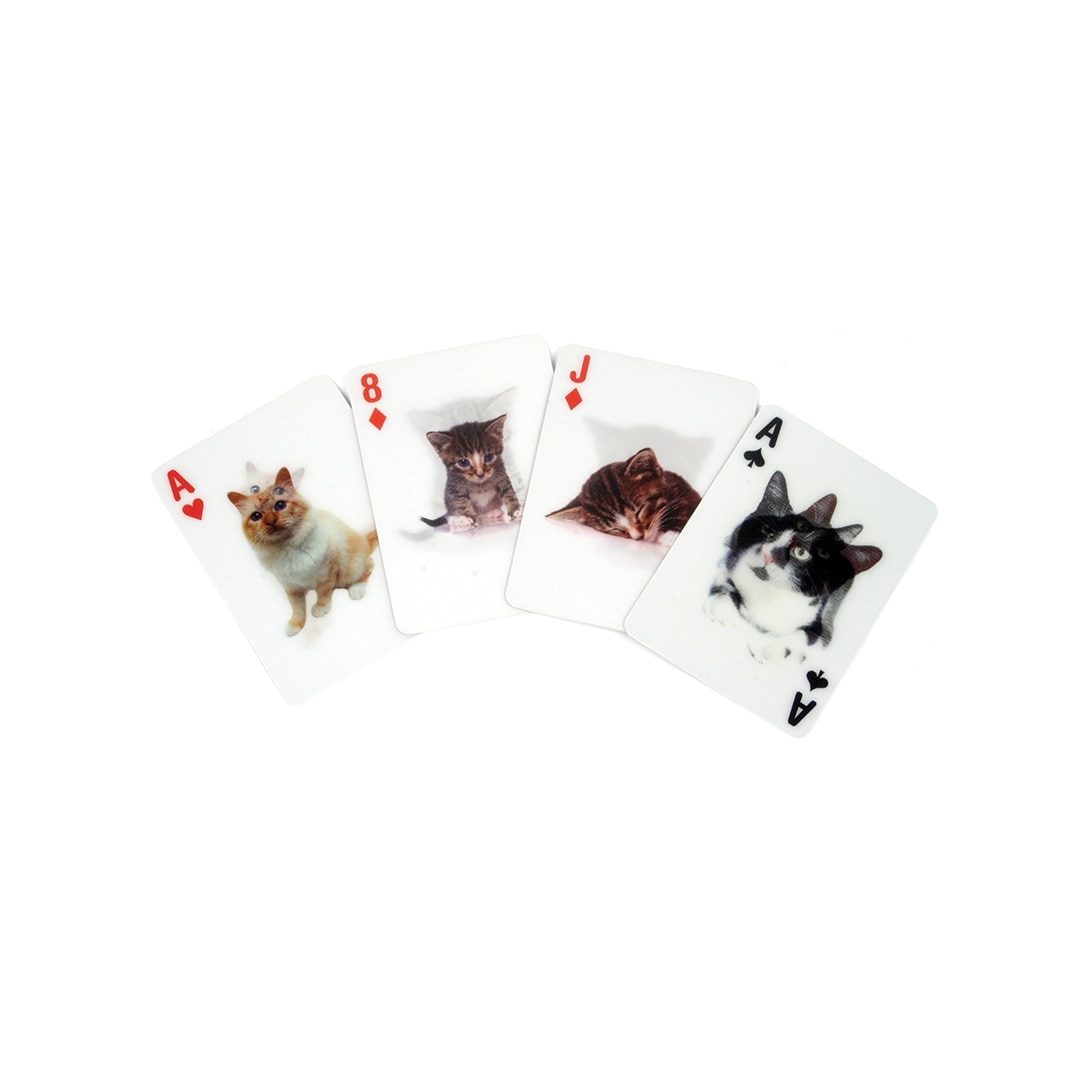 3D Cat Cards